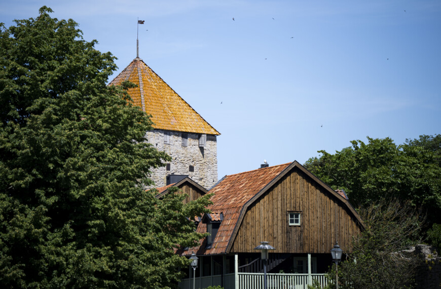 Krönika: Humordralen eller bara dralen?