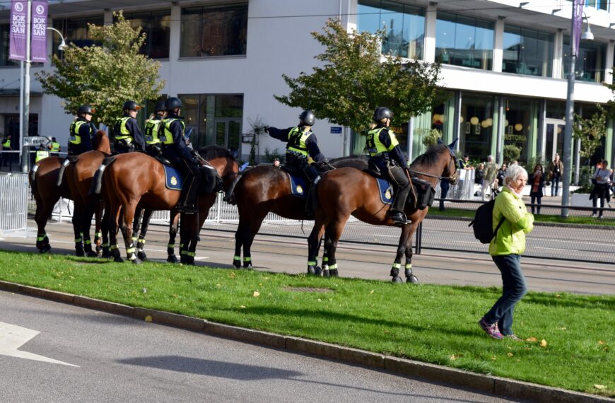 Stenar i magen i ett politiskt naivt Sverige