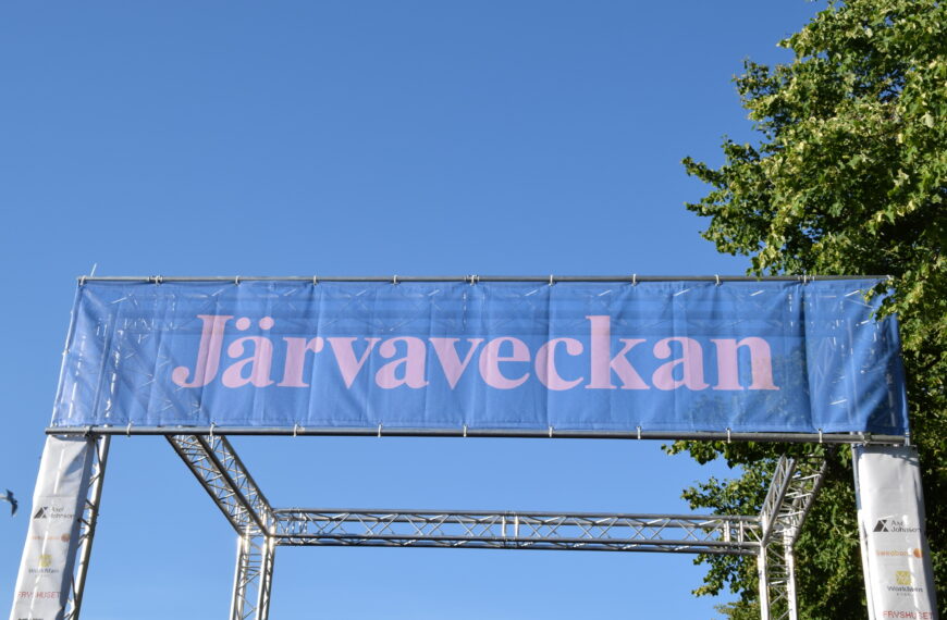 Intervju med LSU:s ungdomsrepresentanter inom EU på Järvaveckan