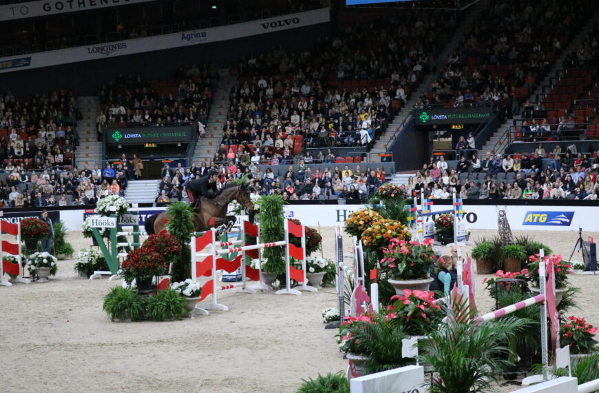 Gothenburg Horse Show ur besökarnas perspektiv