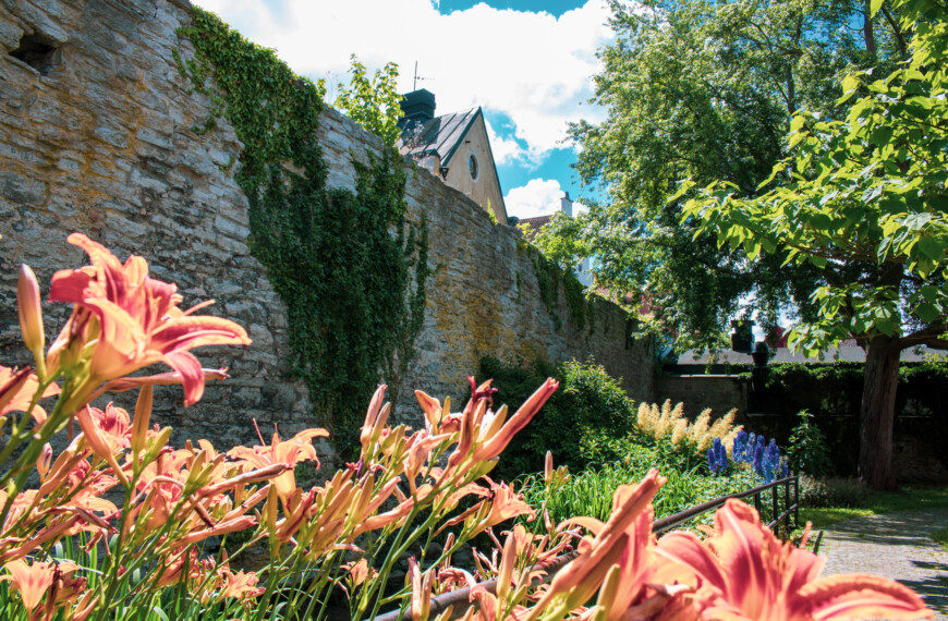 Incels, antifeminism och bristande intresse för jämställdhet: uppkomst, konsekvenser och förebyggande arbete