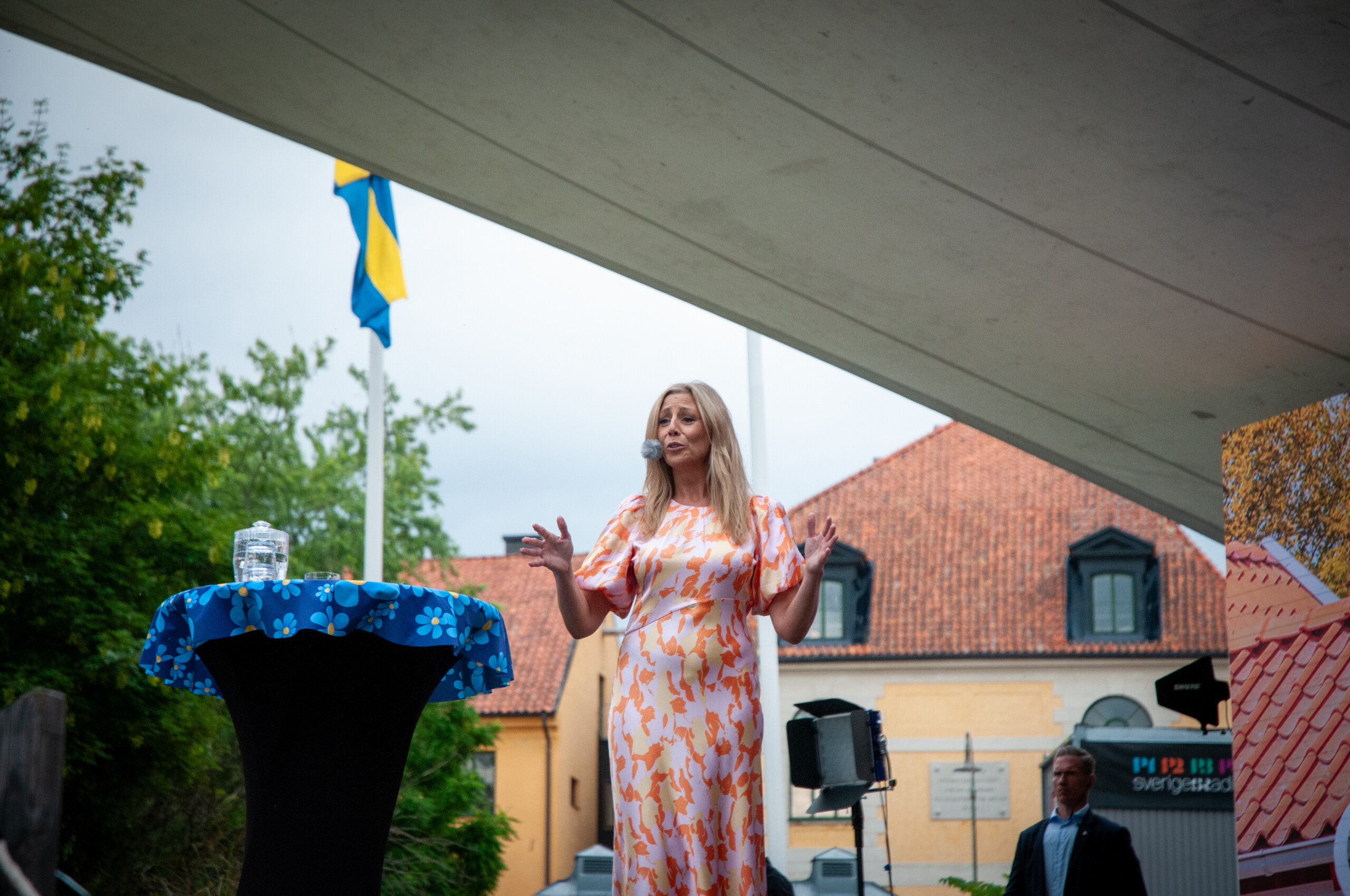 Sverigedemokraternas dag i Almedalen