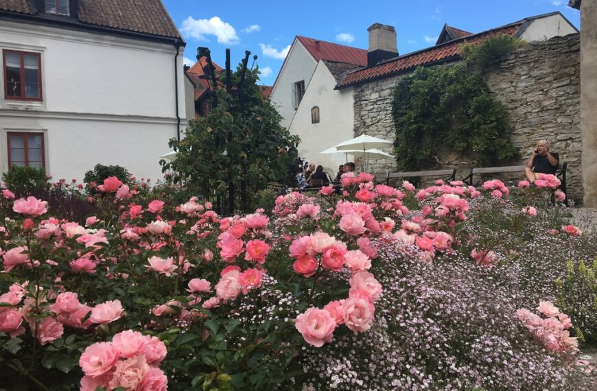 Vad är Miljöpartiets jämställdhetspolitik?