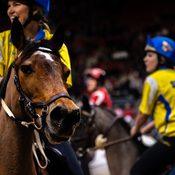 Bildspel från mellanakter – Gothenburg Horse Show