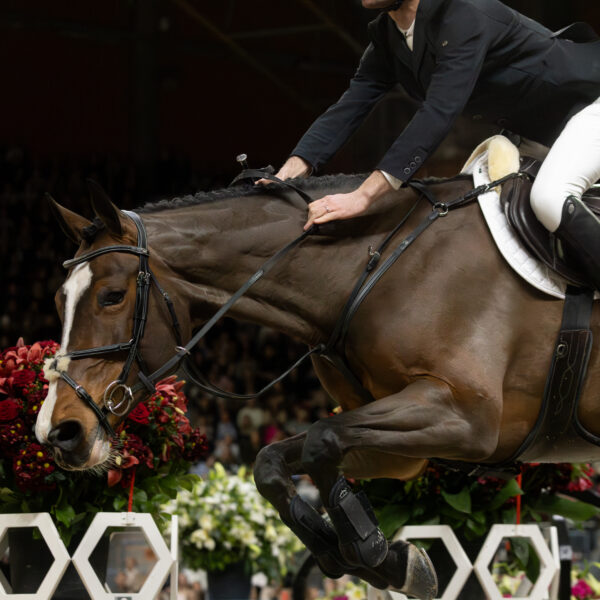 Bildspel från Gothenburg Horse Show