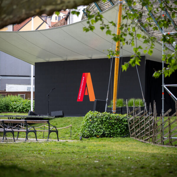 Träffa årets Almedalenredaktion!