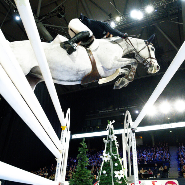 Dagbok från Sweden International Horse Show