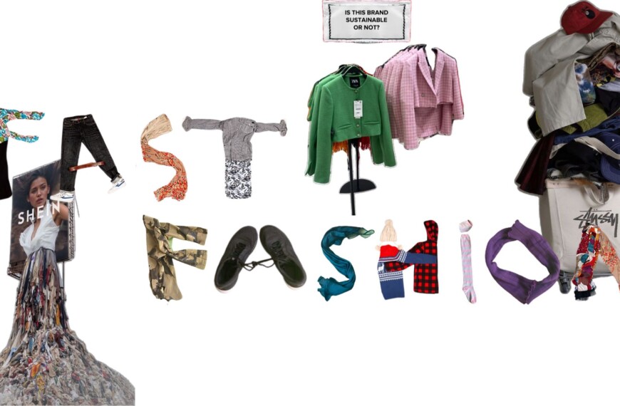  Jag vet att fast fashion är ett problem