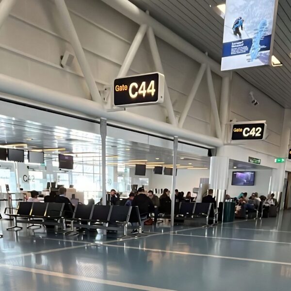 Jag trodde att vi skulle semestra i Sverige -men vi flyttade hit
