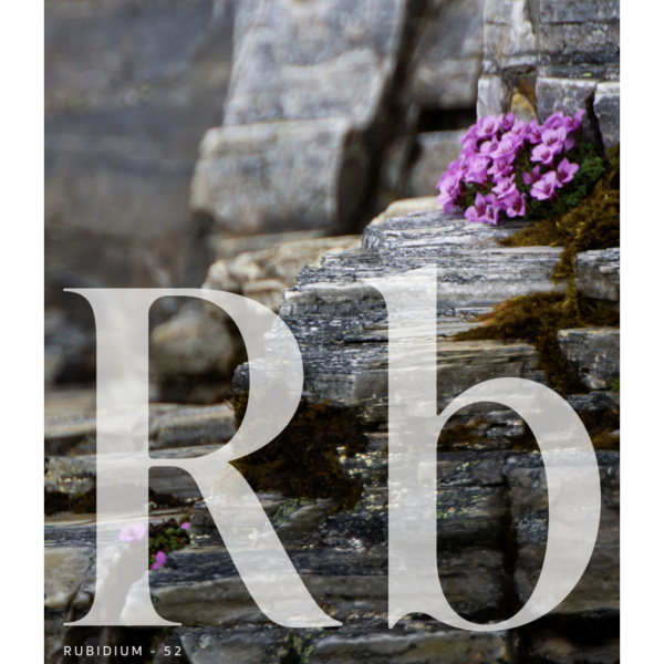 Rymdbladet – Maj 2026