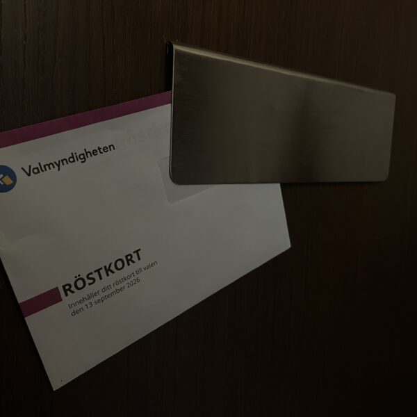 Varför väljer vissa att inte rösta?