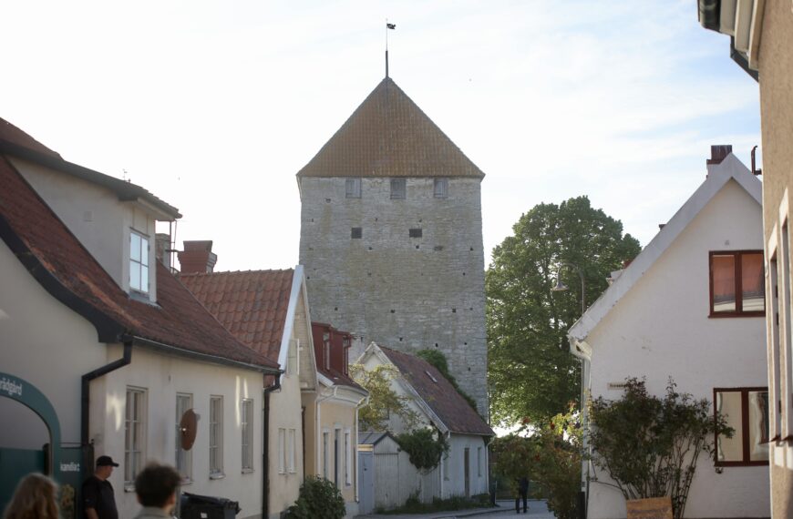 Så var partiledarnas tal i Almedalen