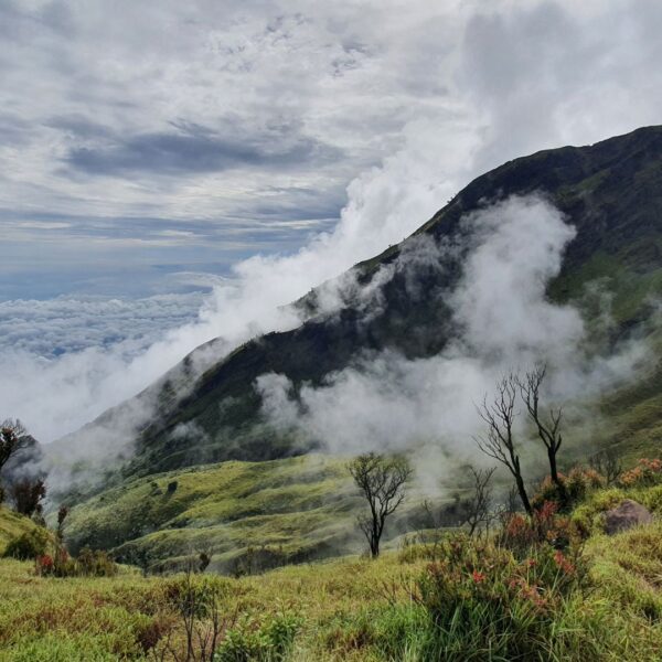 Sju anledningar till att “Wuthering Heights” är en flopp