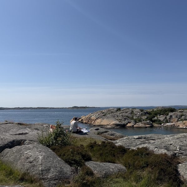 Den årliga käftsmällen har delats ut – igen 